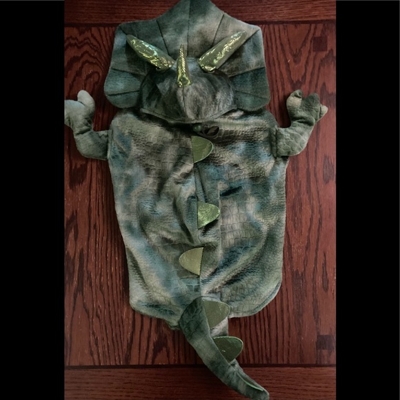 Thrills & Chills Pet Dinosaur Costume - Picture 2 of 4